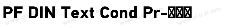 PF DIN Text Cond Pr字体转换